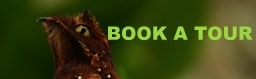booking banner