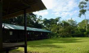 Shiripuno Lodge - Our Lodging facilities offers access to the forest sounds.