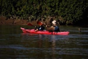 Amazon Kayaking