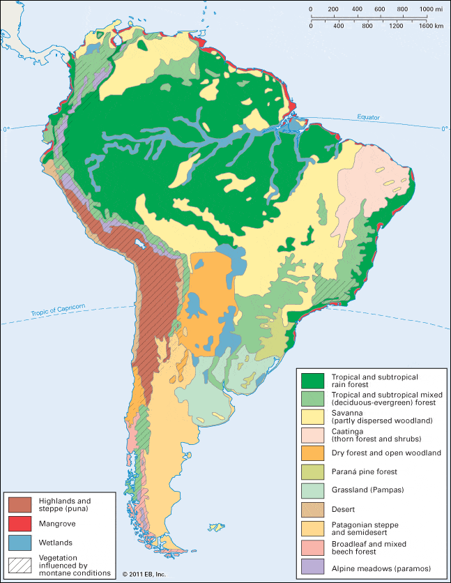 Bioregions of South America