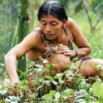 Products of the Yasuni