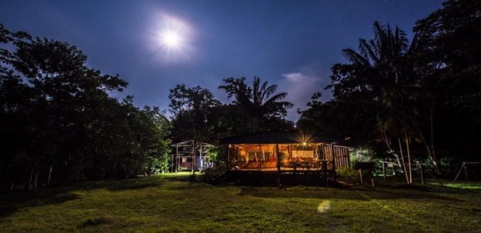The Insects of the Amazon