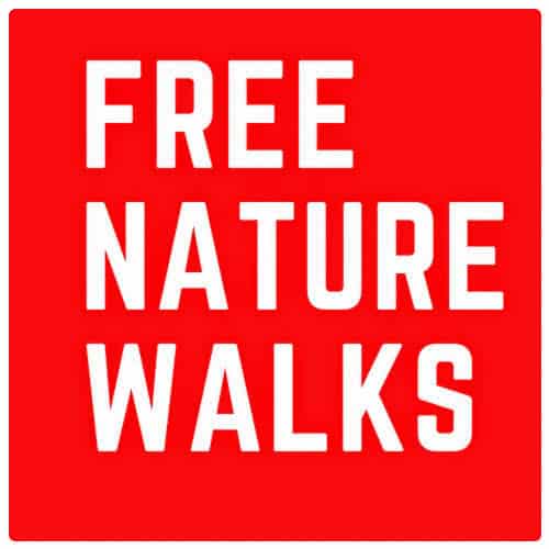 Ecuador Free Nature Walks