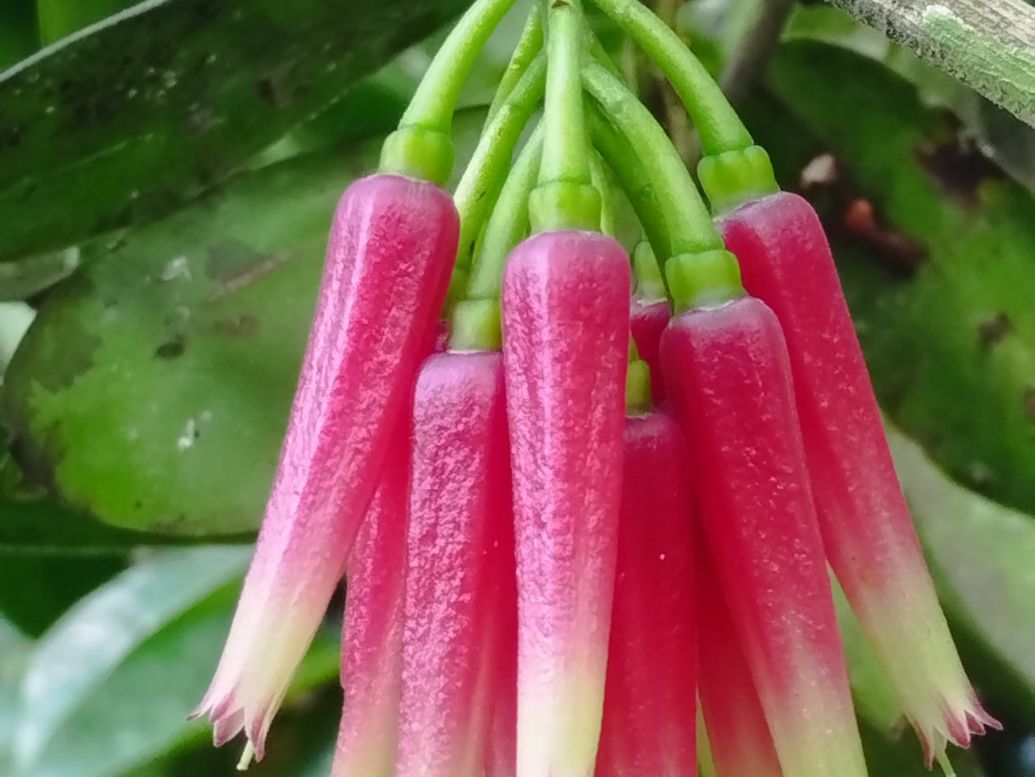 Explore the Wonders of Nature!