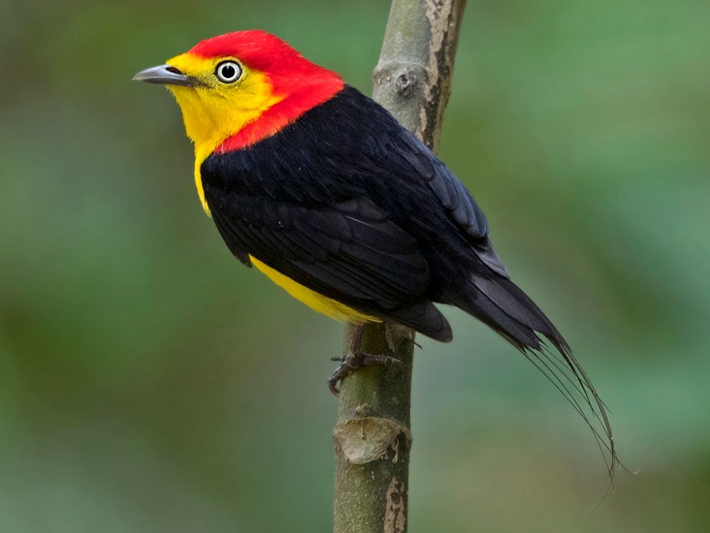 Unleahs Yours Spirit!