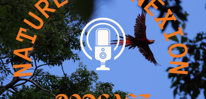 Nature Podcast